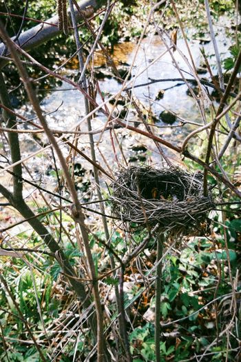 Heuwiesl Impressionen