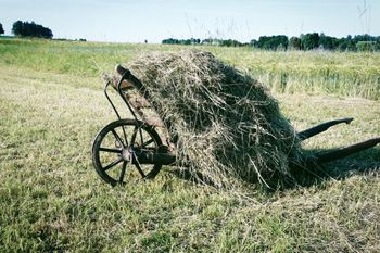 Heuwiesl Impressionen