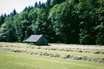 Heuwiesl Impressionen