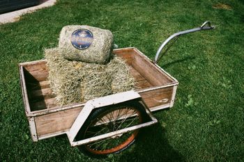 Heuwiesl Impressionen