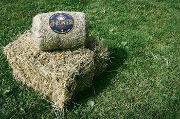 Heuwiesl Impressionen