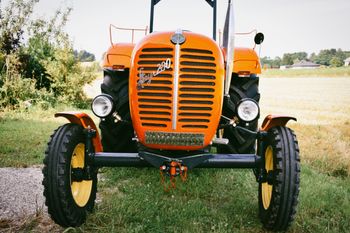 Heuwiesl Impressionen