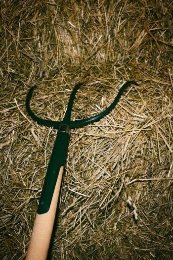 Heuwiesl Impressionen