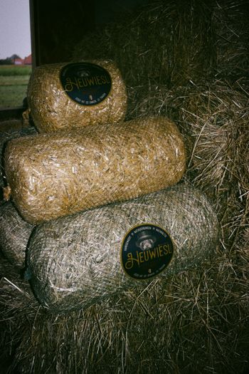 Heuwiesl Impressionen